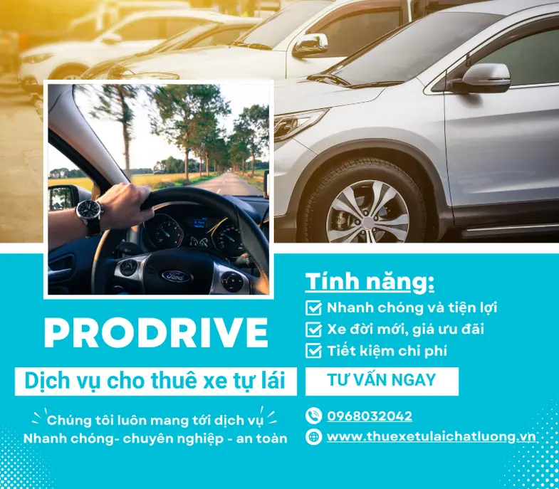 Dịch vụ thuê ô tô uy tín Quy Nhơn